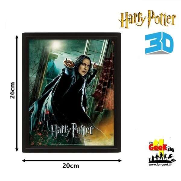 Cadre 3D Harry Potter - Severus Rogue- 26x20cm