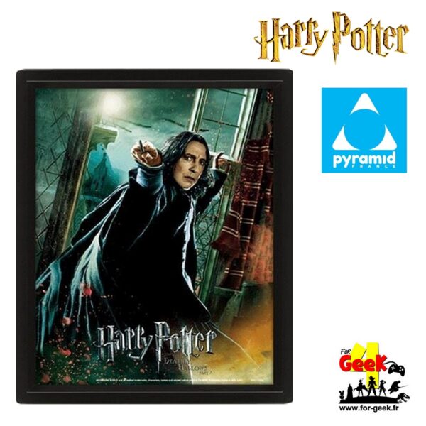 Cadre 3D - HARRY POTTER - Deathly Hallows - 26x20cm