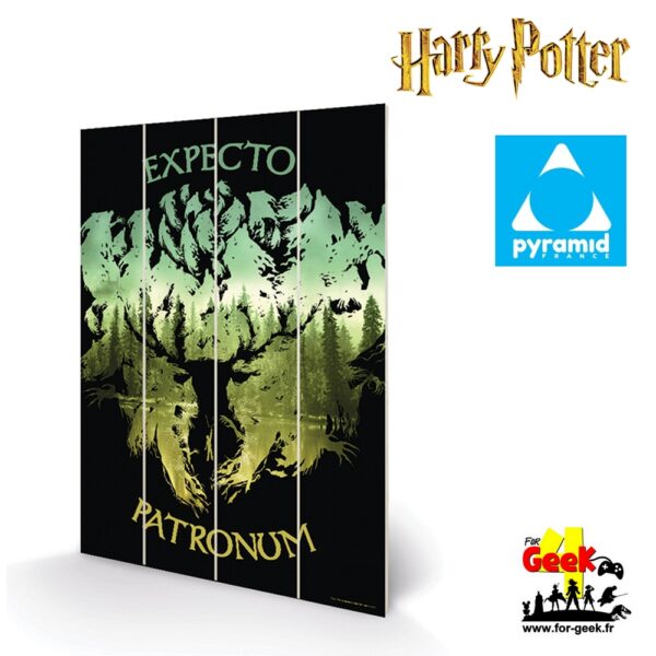 Impression sur bois  - HARRY POTTER - Expecto Patronum - 20x29.5